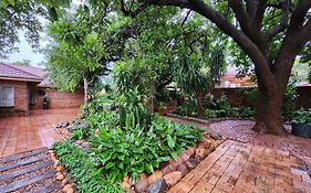 Tree Aloe Guest House