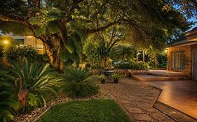 Tree Aloe Guest House